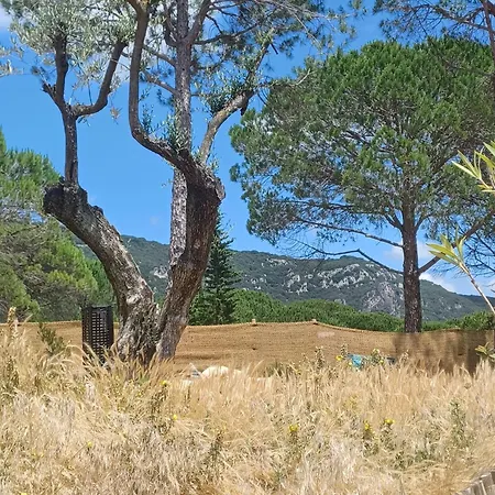 Mourezeva * Mourèze