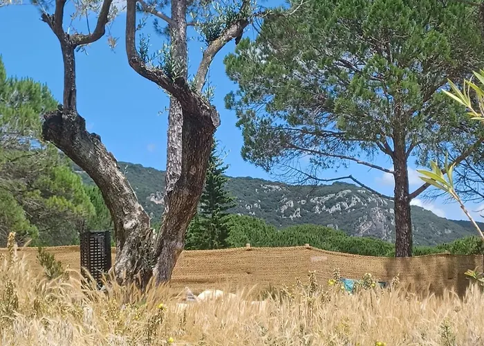 Mourezeva * Mourèze